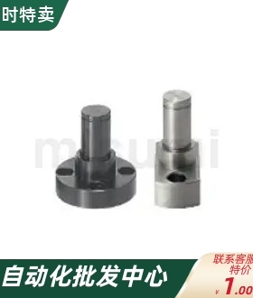 法兰型 台阶型 扣槽 悬臂销FXFA PFXFA SFXFA FXEA PFXEA SFXEA