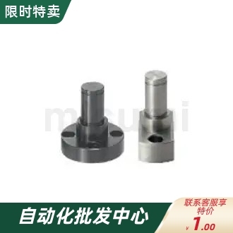 悬臂销FXFAPFXFASFXFAFXEA