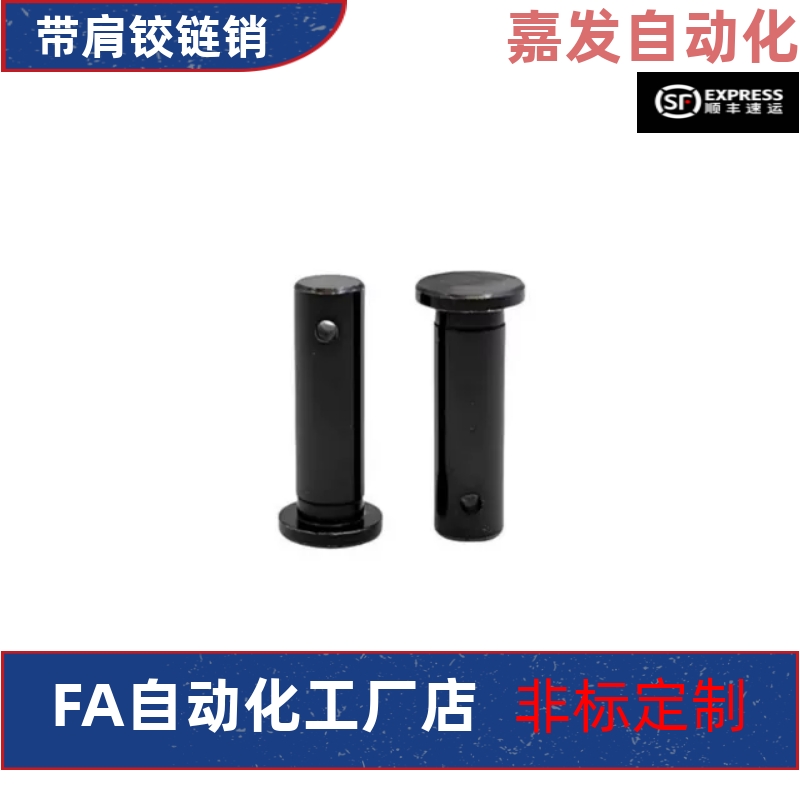 HCMG3 4 5 6 8 10 12-10 12 14 15 16 18 20带肩铰链销开口销固定