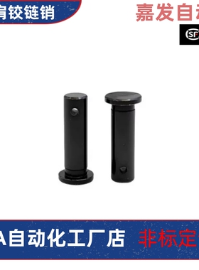 HCMG3 4 5 6 8 10 12-10 12 14 15 16 18 20带肩铰链销开口销固定