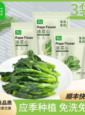 简田速冻油菜苔3袋新鲜广东菜心应季冷冻蔬菜免洗净菜健身代餐