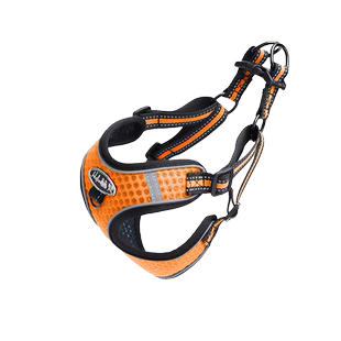 狗狗胸背式牵引绳狗狗拉带法斗遛狗绳子链子中小型犬金毛泰迪用品