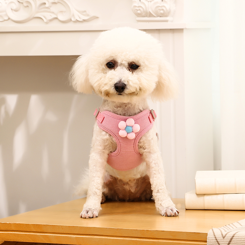 狗狗牵引绳背心式中小型犬泰迪比熊博美可调节胸背带狗链子遛狗绳