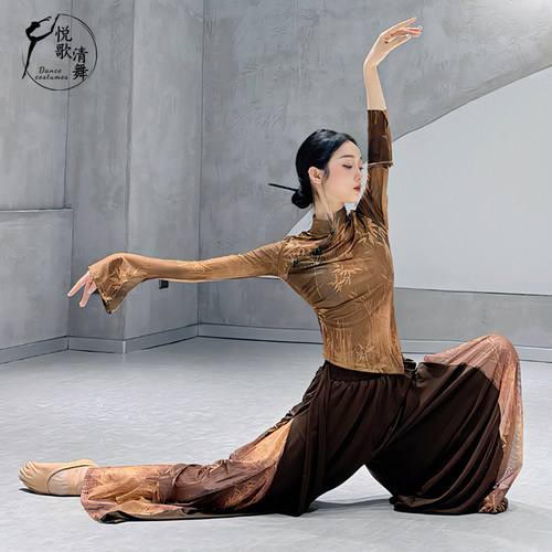 悦歌清舞古典舞身韵纱衣水墨画女