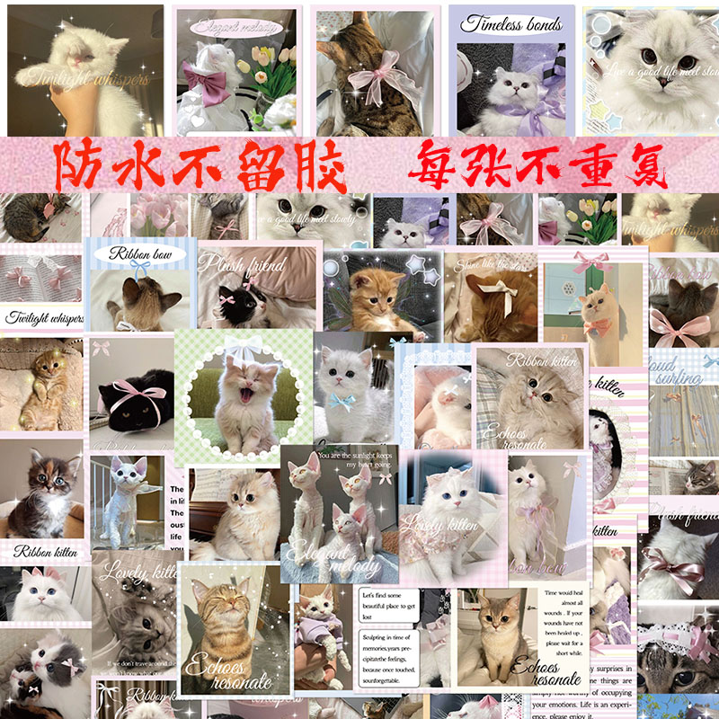 50张芭蕾风小猫表情包贴纸防水