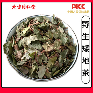 同仁堂品质矮地茶中药材500g无硫平地木叶底珠紫金牛不出林中草药