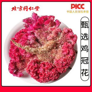 同仁堂鸡冠花中药材500g正品红鸡冠干花鸡冠花药用凤尾大红鸡冠花