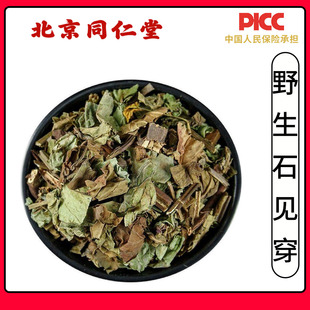 同仁堂野生石见穿中药材500g无硫石见穿中草药月下红石打穿石大川