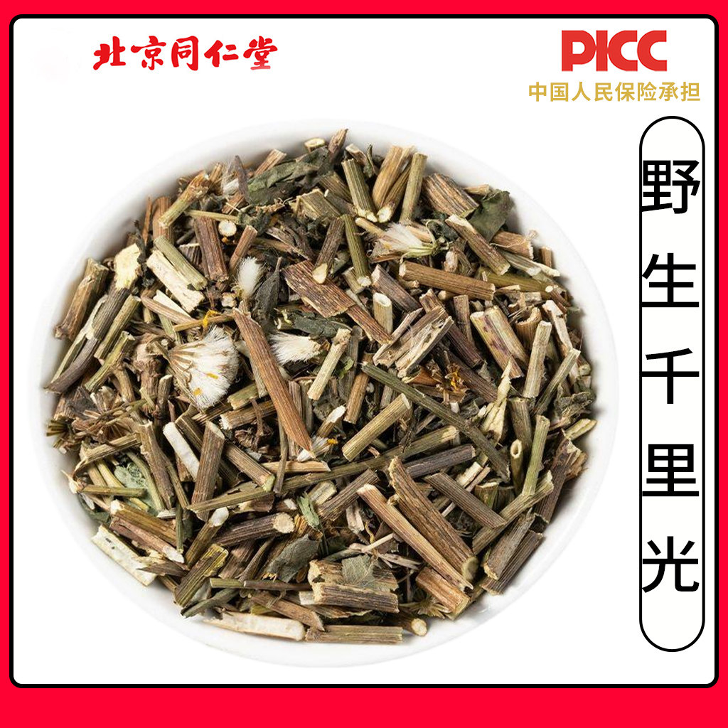 同仁堂野生千里光中草药500克千里草洗澡泡澡九里草一扫光黄花母