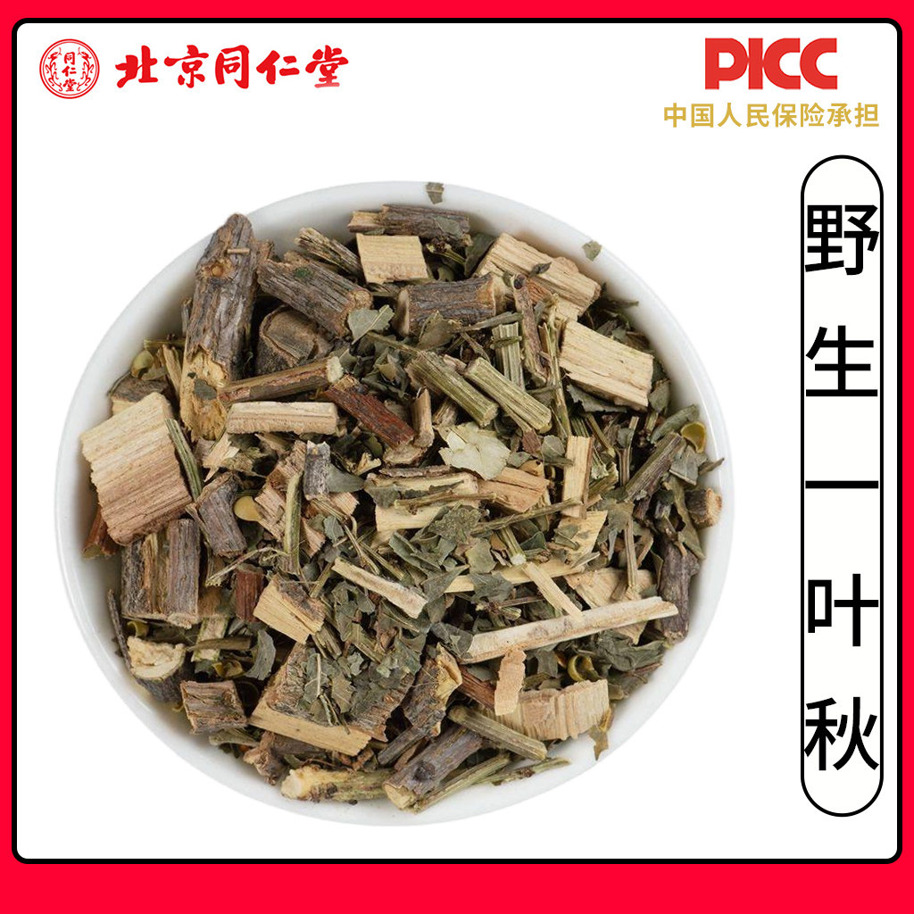 同仁堂野生一叶秋中药材500克无硫一叶萩新货小粒蒿老鼠牙马扫帚