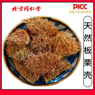 同仁堂精选板栗壳中药材500g毛球栗子刺带刺壳风粟外壳粟子壳扎手