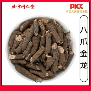 同仁堂野生八爪金龙中药材500g八爪龙八爪根百两金开喉箭铁雨伞