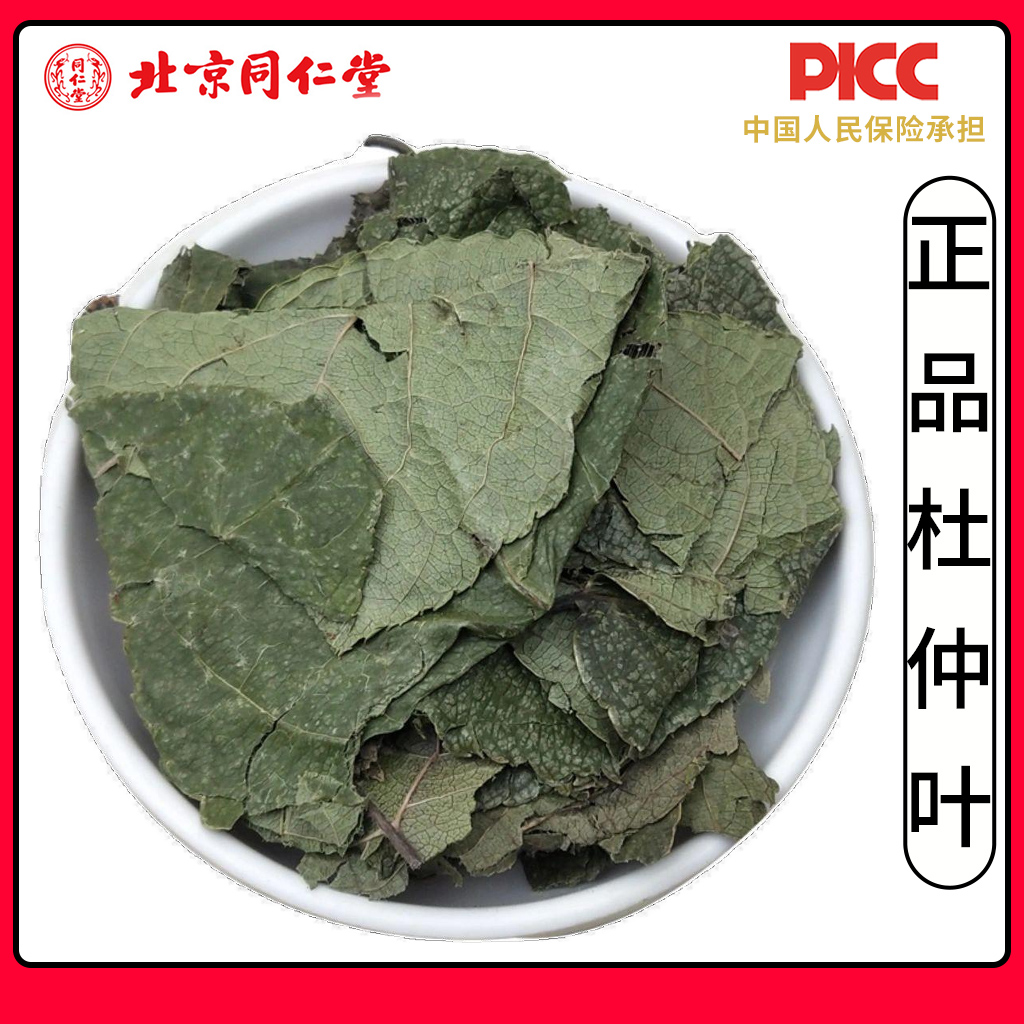 同仁堂野生杜仲叶中药材500g精选高品质新货无硫杜仲嫩叶茶芽杜仲