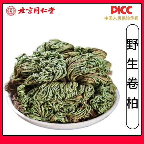 同仁堂野生卷柏中药材500g无硫卷柏长生草九死还魂草不死草还阳草