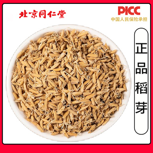 同仁堂正宗稻芽中药材500g新货稻芽生稻芽生谷芽四川谷芽炒谷芽
