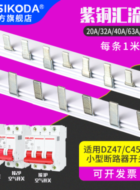 2P63A电气汇流排紫铜C45空开接线排铜排DZ47配电箱断路器连接排件