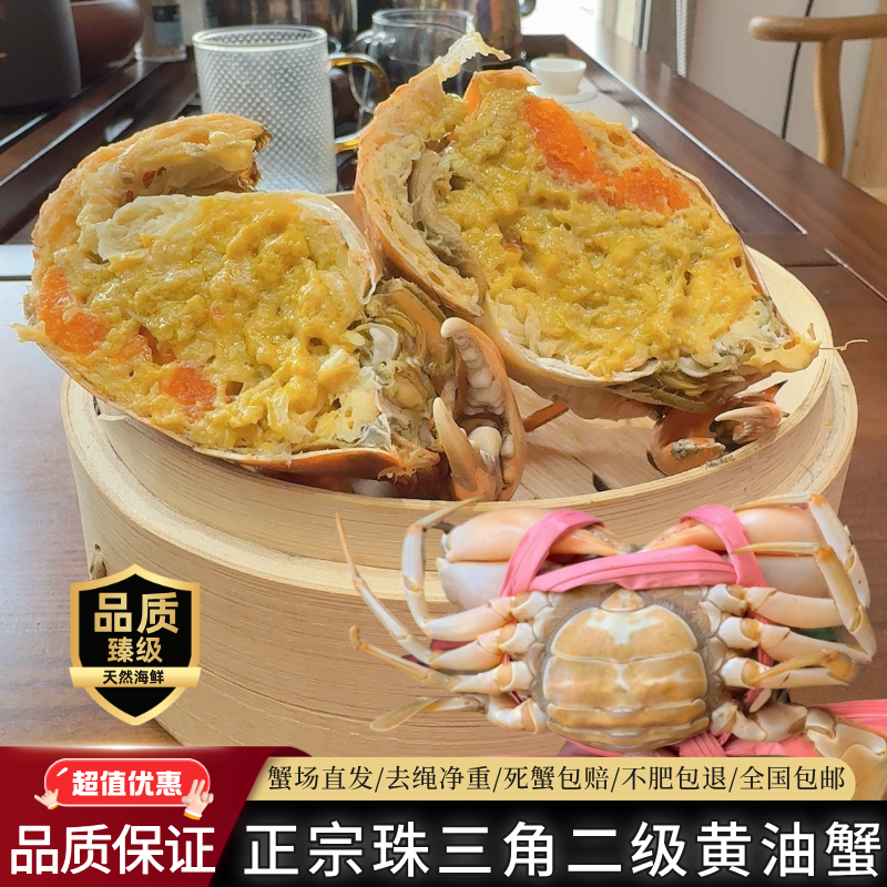 二级黄油蟹特大膏油蟹5两粤菜食材蟹场顺丰包活爆膏流油海鲜礼盒