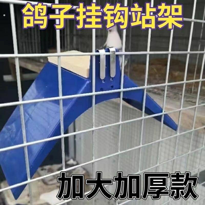 鸽子用品用具信鸽赛鸽栖息专用挂钩塑料不锈钢栖架鸽具休息架站