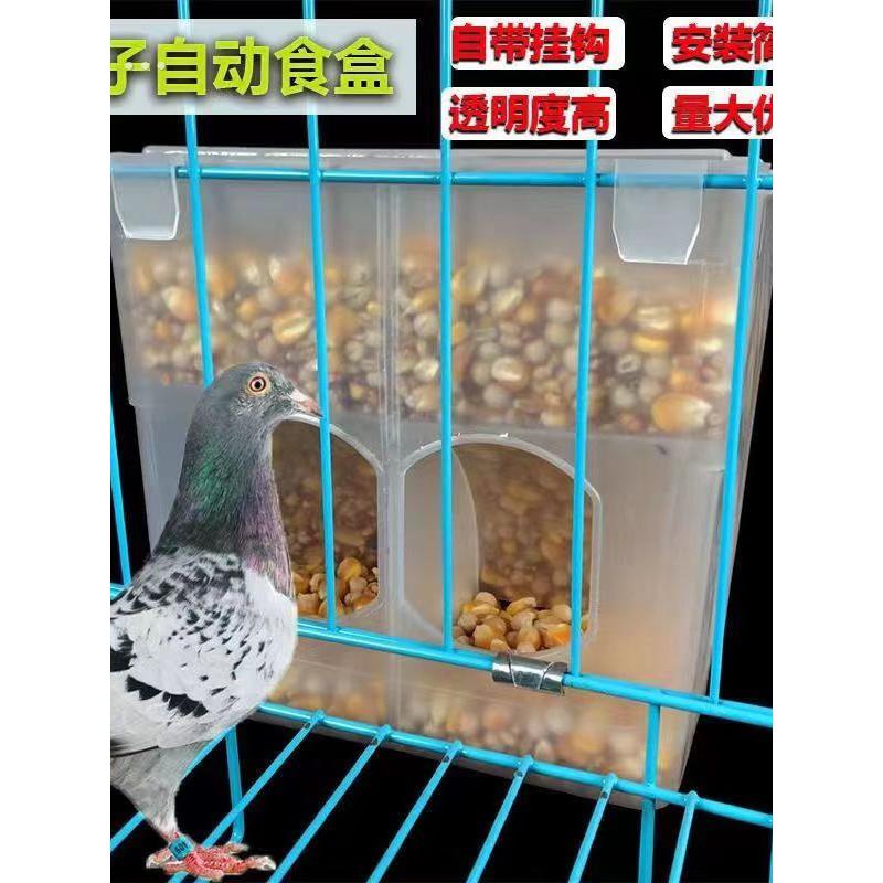 鸽子食槽自动喂食器鸽子用品用具信鸽料盒鸽笼自动食槽挂盒下料器