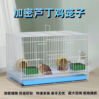 铁笼鸽子笼绣眼笼铁艺八哥养殖笼家用鸟笼繁殖笼大号豪华鹦鹉笼