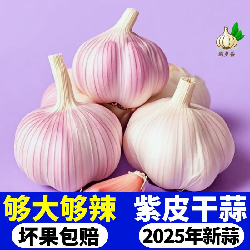 2025年新干蒜大蒜头5斤蒜头