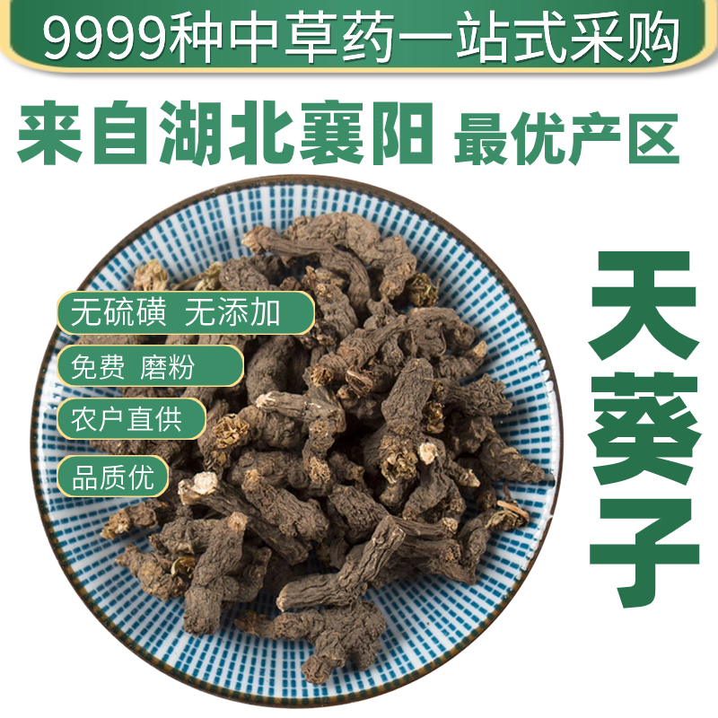 包邮天葵子500克天葵草千年老鼠屎紫背天葵中药材店铺药材大全中