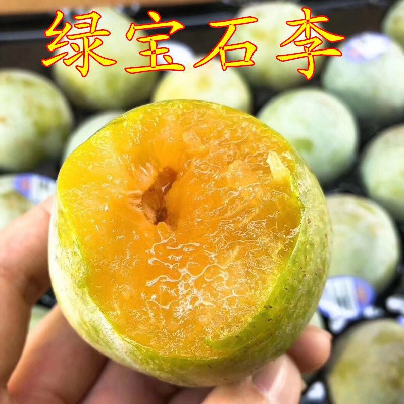 美国绿宝石恐龙蛋李子苗脆甜绿布林李嫁接李子树苗南北方种植果树