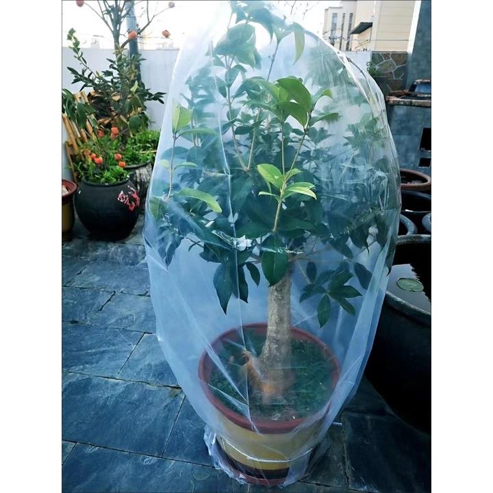 植物花草冬天保温罩户外花卉绿植桂花树花盆栽树苗防寒保暖树罩子