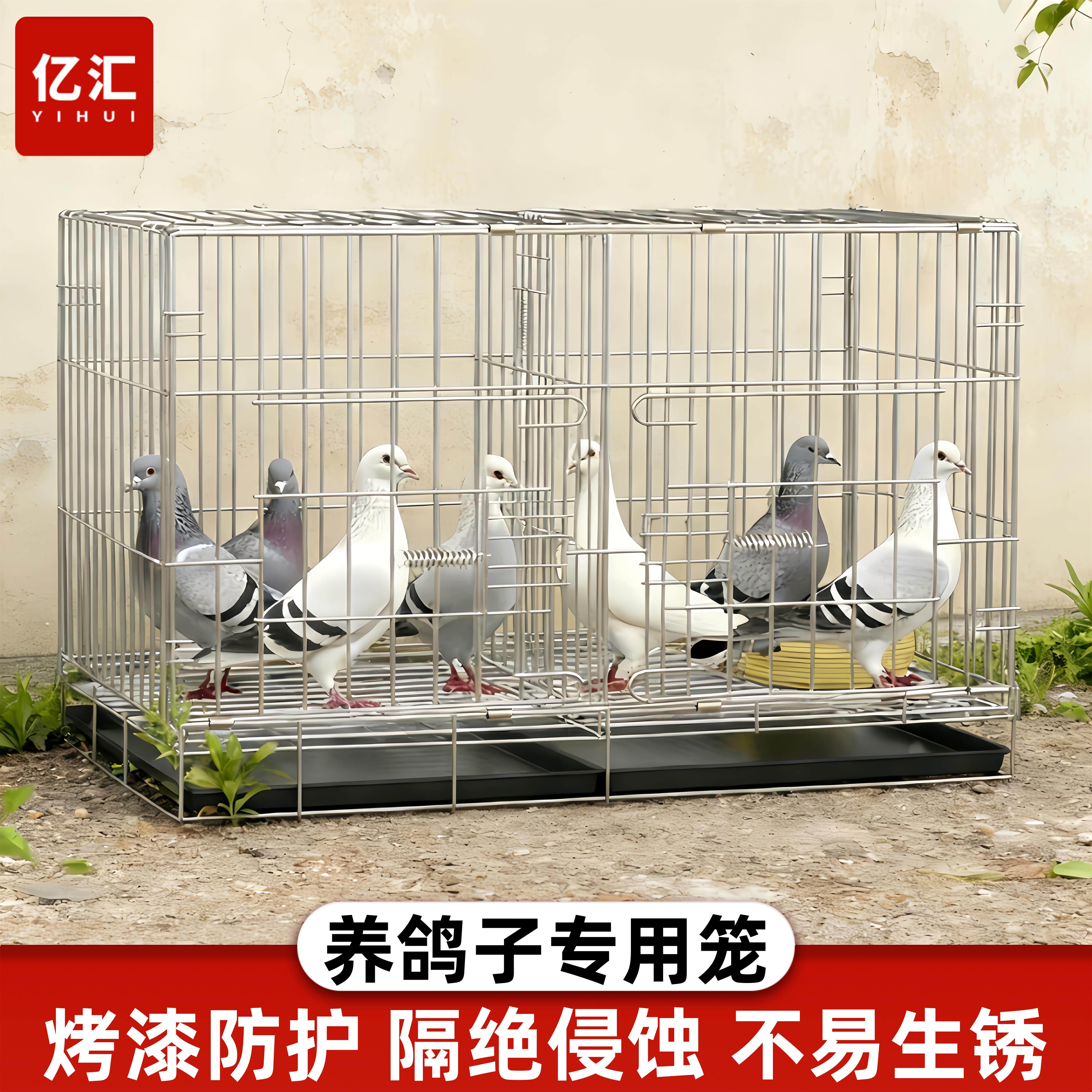 新型鸽子笼养鸽子繁殖专用笼家用大号特大号白鸽元宝鸽笼子养殖笼