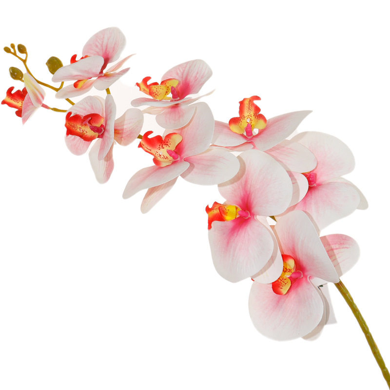3D蝴蝶兰手工花束仿真艺