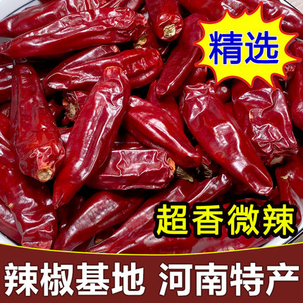 干辣椒微辣特香子弹头新品河南四川贵州湖南特产特辣辣椒段魔鬼椒