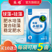 小球藻藻种水产养殖复合硅藻种高培藻净化水质调水增氧低温肥水