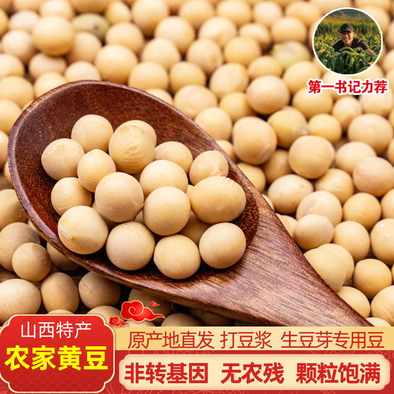 山西特产农家黄豆生豆芽打豆浆