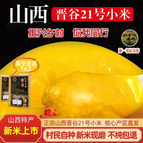 山西特产2025年山西晋谷21号小米