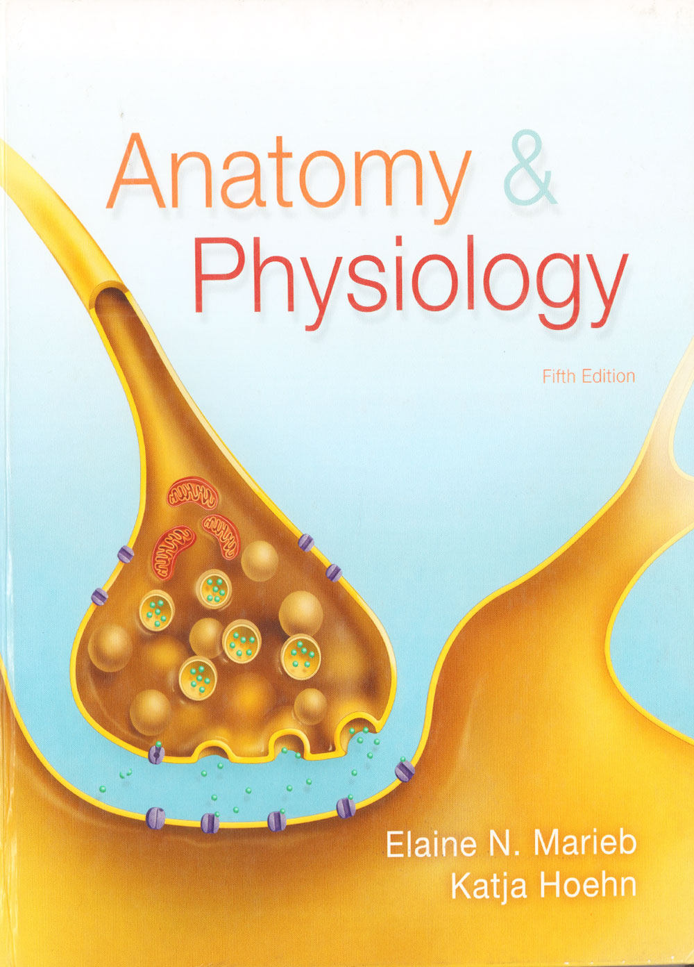 特价清仓 香港朗文原版英文书籍第五版 Anatomy & Physiology 解剖学和生理学