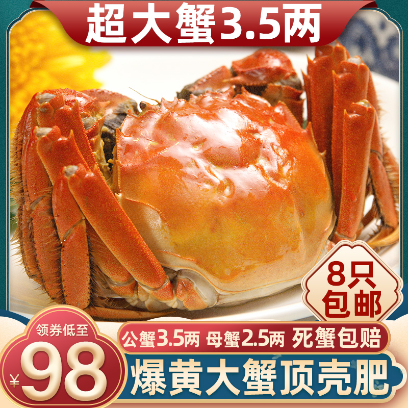 活蟹【立減60】蘇州大閘蟹鮮活禮盒8只超大公3.5母2.5送禮螃蟹在類目 水產肉類/新鮮蔬果/熟食, 海鮮/水產品/製品, 蟹類, 大閘蟹中 - 來自Buy2taobao.com提供專業的淘寶代購服務