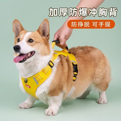 防爆冲胸背带夜间反光