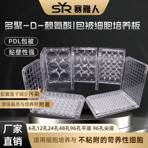 赛雅人PDL赖氨酸包被细胞培养板