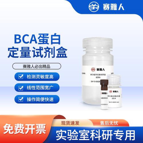 BCA蛋白浓度测定WB实验试剂盒