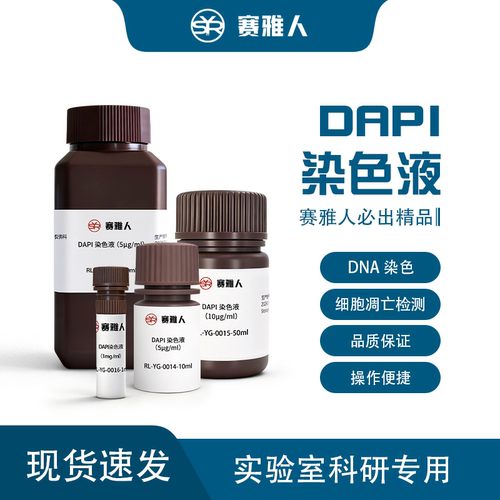 DAPI 染色液 细胞核荧光染色试剂  细胞实验科研专用 含封片剂