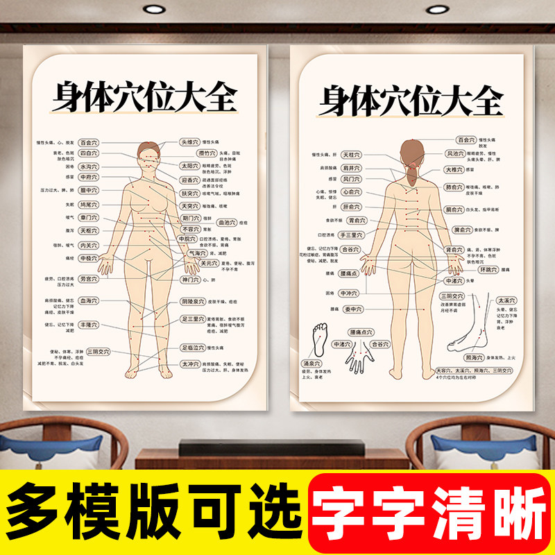 穴位图人体经络穴位标准