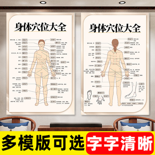 人体经络穴位标准大图中医经络穴位图全身按摩艾灸高清挂图海报hb