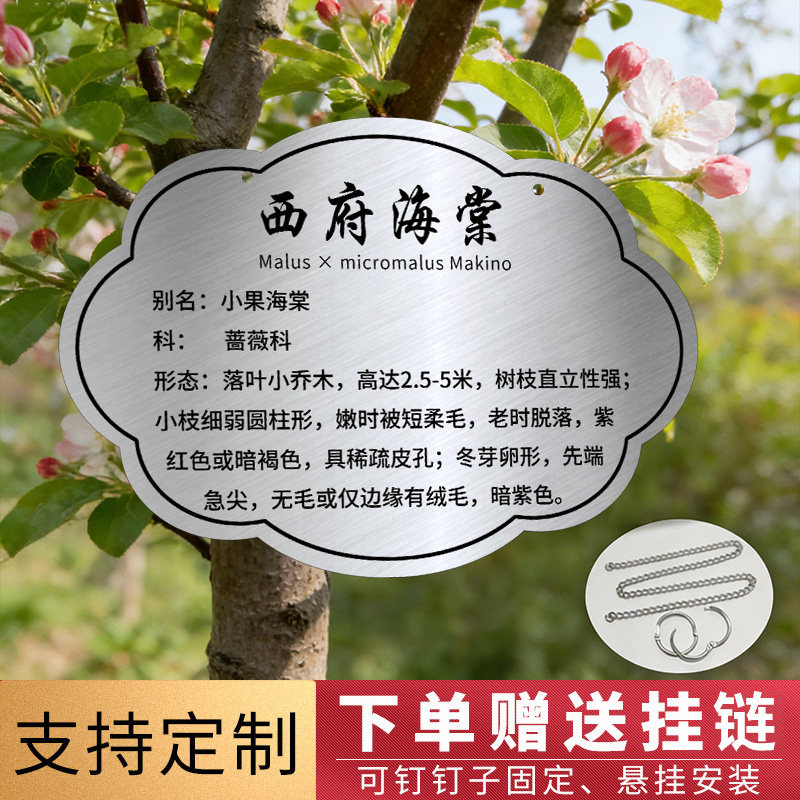 不锈钢树牌挂牌定制树木标识牌树木信息铭牌金属悬挂吊牌介绍牌树花草