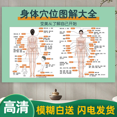 穴位图人体经络穴位标准