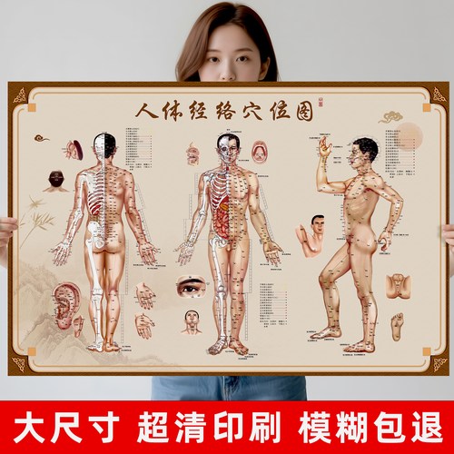 中医养生馆背景墙面海报极速发货