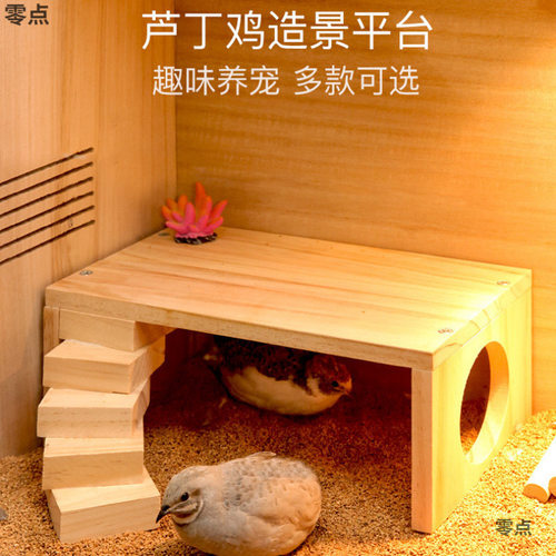 芦丁鸡喂食台楼梯饲养箱装饰用品