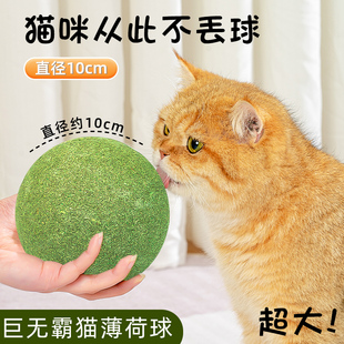 猫薄荷球超大自嗨解闷猫咪玩具猫猫逗猫棒神器宠物磨牙棒逗猫用品