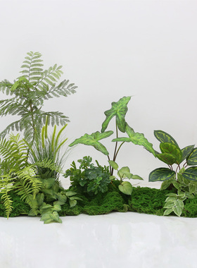 彷真绿色植物小型造景组合高端轻奢彷生植物假花隔断景观客厅落地