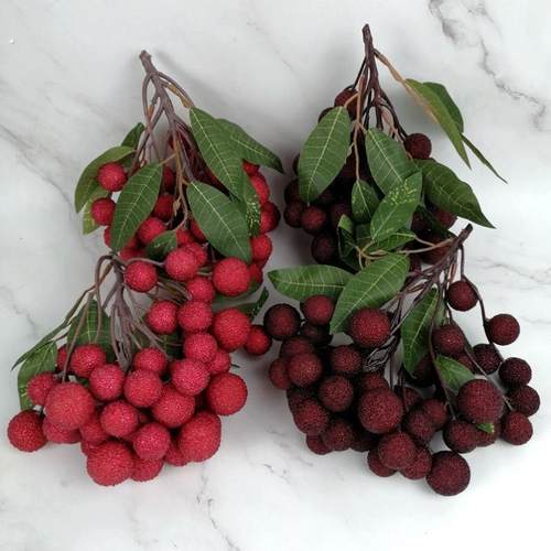 仿真假杨梅模型龙眼黄皮荔枝蓝莓枝婚庆装饰摄影道具新鲜塑料水果