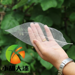 漆画漆器 大漆拓印 玉兰叶脉书签干花材料叶脉花制作材料